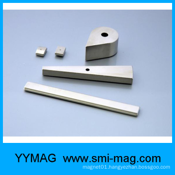 Irregular shape neodymium/NdFeB permanent Magnet